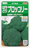 サカタのタネ はやどりブロッコリー ピクセル
