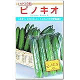 ミニキュウリ 胡瓜 種子 ピノキオ 20粒 きゅうり