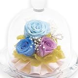 liLYS épice プリザーブドフラワー ガラスドームアレンジ バラ 3輪 シンプル型 (パウダーブルー)