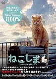 ねこしま [DVD]