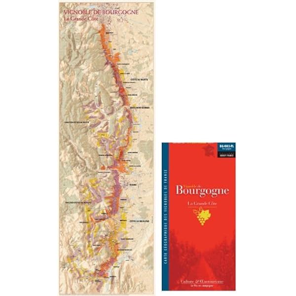 地図でみるブルゴーニュ・ワイン 地図でみるブルゴーニュ・ワイン〔改訂新版〕 | シルヴァン・ピティオ