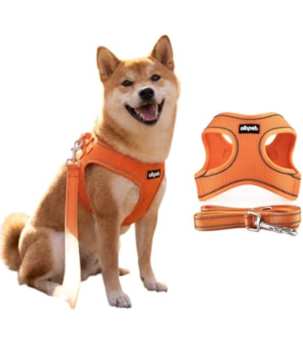 Amazon | ciiron TOKYO ハーネス 全国 日本製 犬 小型 犬 中型犬 大型