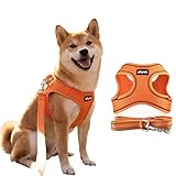AIBPET 犬用ハーネス＆リードセット 超小型犬から全犬種対応 猫用ハーネス リード引っ張り防止設計 調節可能サイズ夜間反射機能 着脱簡単耐久性・通気性・柔らかメッシュ素材採用 (orange, S)