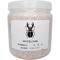 Amazon | MYCELIUM 菌糸ビン800cc オオヒラタケ菌 ホワイト 二次発菌