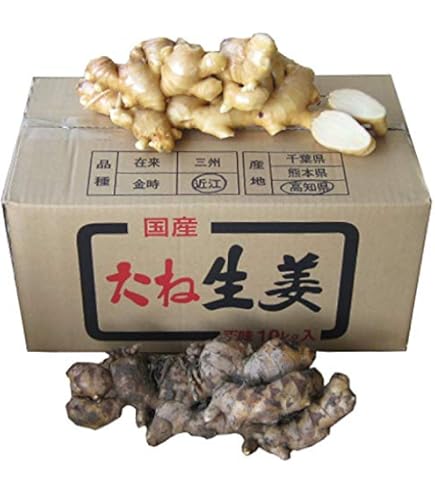 Amazon.co.jp: 種生姜 千葉県産三州生姜10kg : 食品・飲料・お酒