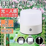 3WAY センサーライト led 電池 ガーデンライト LED Wセンサーマルチライト 屋外 屋内 光・人感センサー付 アウトドア キャンプ NIT-BY1-W おしゃれ
