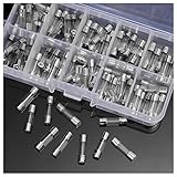 Keepjoy 100個ガラスヒューズ 5mm x 20mm 10種類 各10個