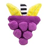 Sassy Terry Teether, Freezies Grapes by Sassy [並行輸入品]