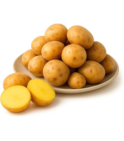 Amazon.co.jp: インカのめざめ まとめ買い 10kg (サイズ無選別) 北海道