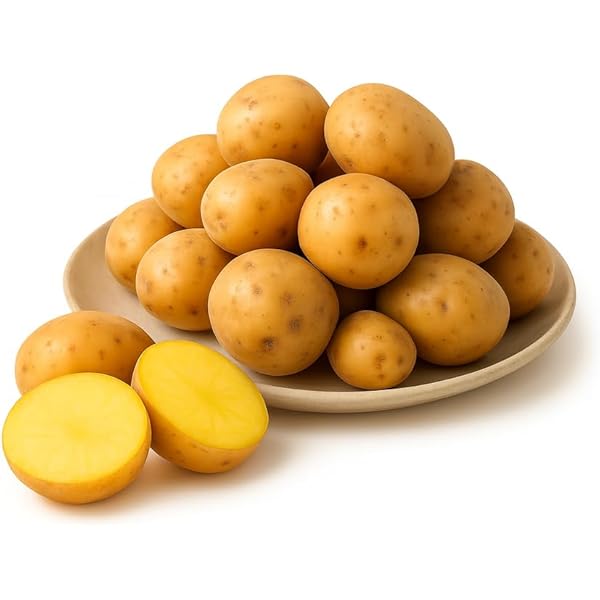 Amazon.co.jp: インカのめざめ 1.5kg(サイズ無選別) お試し用 いんかの