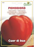 野菜の種 イタリアントマト・Cuor di bue