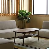 木製リビングテーブル ウォールナット×オーク材 無垢 シンプル 中棚付き コンパクトサイズ ソファテーブル 北欧テイスト レトロ調デザイン センターテーブル