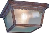 Volume Lighting V7231-22 1-Light Outdoor Ceiling Mount, Prairie Rock [並行輸入品]