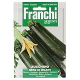 野菜の種 ズッキーニ NERO DI MILANO 146/1