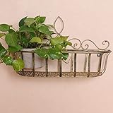 Plant shelf アイロンフラワーラック、リビングルームフラワーポットラックバルコニー盆栽フレームプラントディスプレイスタンド Flower racks ( 色 : D , サイズ さいず : 
