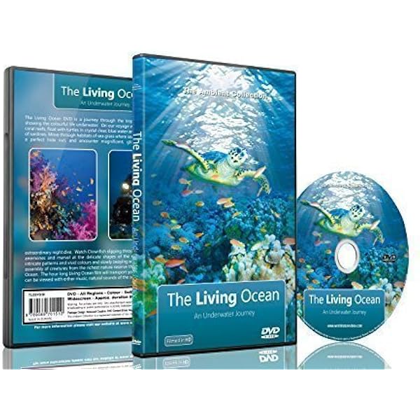 ダム・オブ・ザ・ビーバー IMAX [DVD] Amazon.co.jp: ダム・オブ・ザ・ビーバー IMAX [DVD