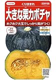 サカタのタネ 実咲野菜1006 大きな栗カボチャ くりほまれ 00921006 10袋セット