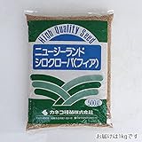 マメ科牧草：白クローバー（シロツメグサ）フィア 1kg[飼料用の中葉種 タネ・放牧地の混播利用] ノーブランド品