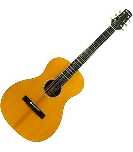 Amazon | MORRIS Y-023 VB アコースティックギター | スチール弦