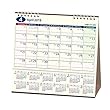 能率 NOLTY 2019年 カレンダー 卓上22 B6変型 C223 ([カレンダー])