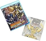 �����m���� THE LOST CANVAS �����_�b VOL.5