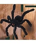 Rubie's Costume Co 20 Spider With Jewel Eyes Costume [並行輸入品]