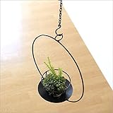 フェイクグリーン インテリア アイアンリングハンギング [hda1898]