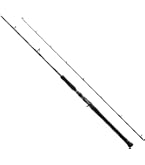 Y*I様 ダイワ/DAIWA ベイトリール 17 ソルティガBJ 100SHL Amazon.co.jp: ダイワ(DAIWA) ベイトリール 17 ソルティガBJ