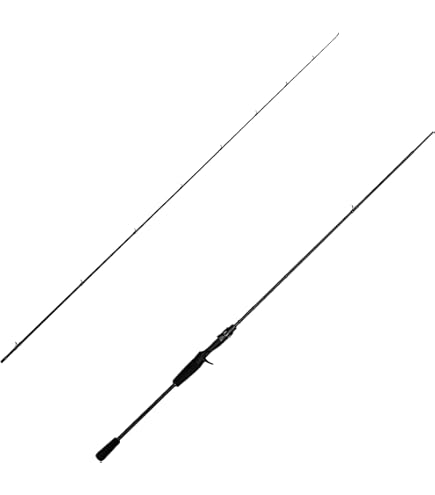 Amazon | AbuGarcia (アブガルシア) ソルティースタイル 黒鯛