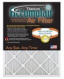 Accumulair ®チタン高効率Allergen Reductionエアフィルタ/ Furnaceフィルタ(4パック) 17x25x1 (Actual Size) FI17X25A_4 4