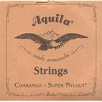 Amazon.co.jp: チャランゴ弦セット（AQUILA）（イタリア製