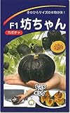 ミニカボチャ 南瓜 種子 坊ちゃん 100粒 かぼちゃ