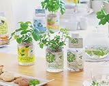 [植物 栽培 栽培セット ガーデン 手軽 癒し グリーン ハーブ]育てるグリーンペットレタス