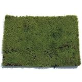 コケ・砂苔(スナゴケ ネットマット) 緑の絨毯 8枚セット 屋上緑化 植木 庭木 苗木