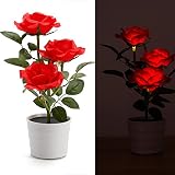 Arbeflo ソーラーLEDフラワー バラの鉢植え 鉢花 風景ライト ロマンチック ベッドルーム リビングルーム ホテル レストランに最適 (レッド)
