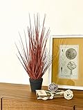 ハギハラ 人工観葉植物 『レッドグラス』 (SS/53cm) #1794F