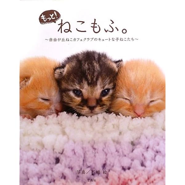 ねこもふ。でらっくす | 石橋 絵 |本 | 通販 | Amazon