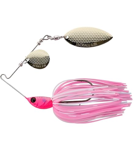 Amazon | ダイワ(DAIWA) ベイトフィネスリール 26タトゥーラ BF TW 8.1