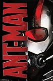 Ant-Man - Helmet Poster 22 x 34in [並行輸入品]