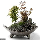 益子焼 足付三角鉢 炭化 ミニミニ盆栽鉢