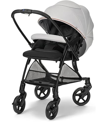 Amazon.co.jp: PIGEON ピジョン ノートアール nautR NB0-R 両対面式A型