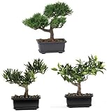 Nearly Natural 4122 Bonsai Decorative Silk Plant Collection, 8.5-Inch, Green, Set of 3 by Nearly Nat