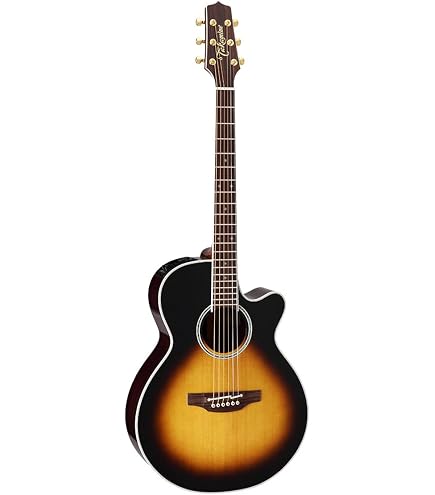 Amazon | Takamine / TSP138C TB タカミネ エレアコ アコースティック