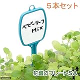 花壇のプレート SA 5本セット