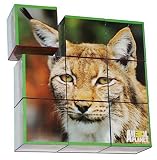 Animal Planet Puzzle Cubes - Endangered Species [並行輸入品]