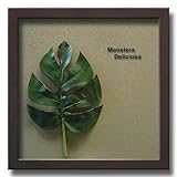 「Monstera Deliciosa1」【リーフコレクション】(リーフインテリアフレーム)【人工観葉植物フレーム】[絵画通販]【絵のある暮らし】