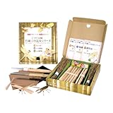 オヤジの虫籠 入門キット 竹トンボ、竹オニヤンマ、竹鍬形虫(クワガタ)