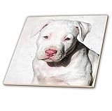 3dローズCT _ 245337 _ 4 3drose American Staffordshire Terrier Pit Bull子犬watercolor-ceramicタイルインチ、12 "