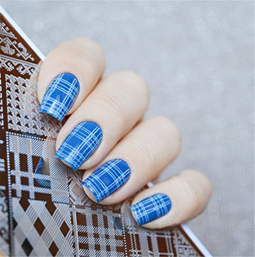 千鳥格子 綾織シリーズ イメージプレート 春の歌 L010の価格比較 ネイル用パーツ ネイルアート Heim ハイム