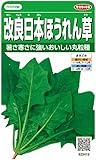 改良日本ほうれん草